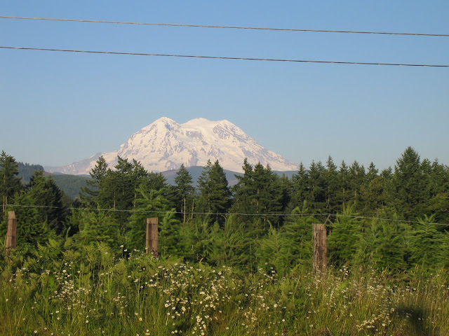 西雅圖 愛玩捉迷藏的火山 雷尼爾山 Mt. Rainier