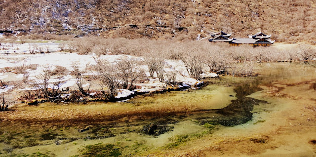四川 黃龍 Huanglong Scenic and Historic Interest Area 雪山、彩池、峽谷、和森林的夢幻組合