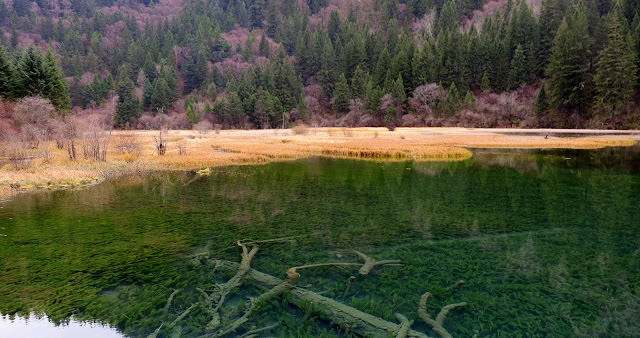 九寨歸來不看水  九寨溝 Jiuzhaigou