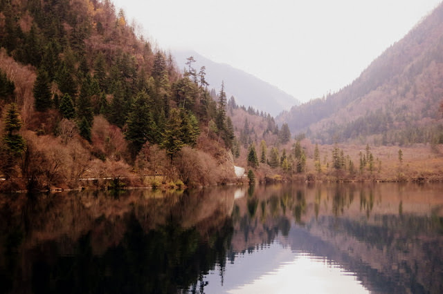 九寨歸來不看水  九寨溝 Jiuzhaigou