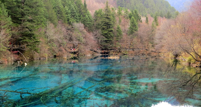 九寨歸來不看水  九寨溝 Jiuzhaigou