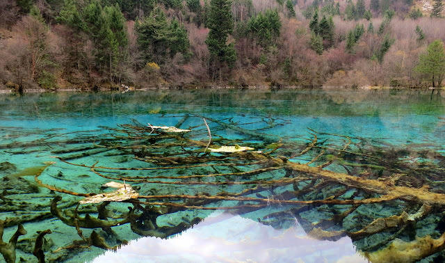 九寨歸來不看水  九寨溝 Jiuzhaigou