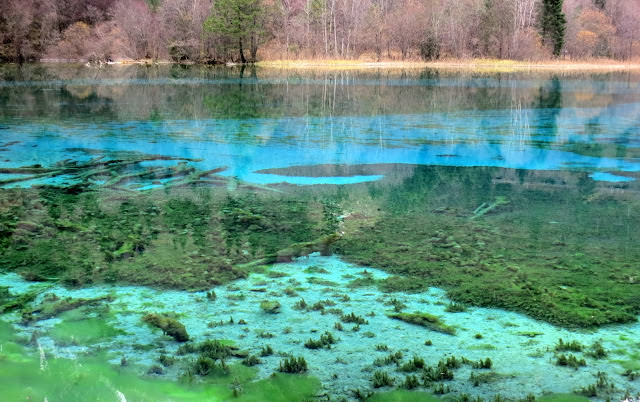 九寨歸來不看水  九寨溝 Jiuzhaigou