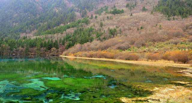 九寨歸來不看水  九寨溝 Jiuzhaigou