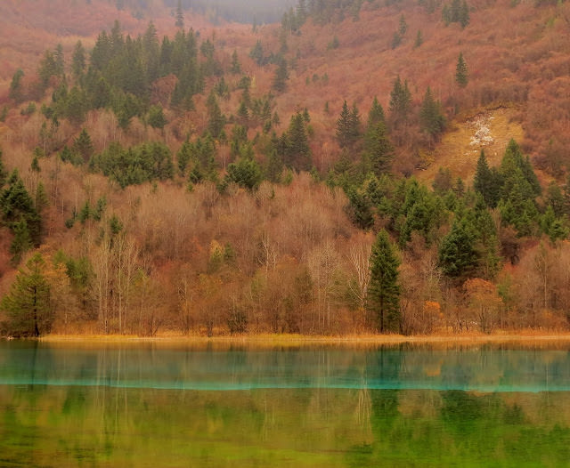 九寨歸來不看水  九寨溝 Jiuzhaigou