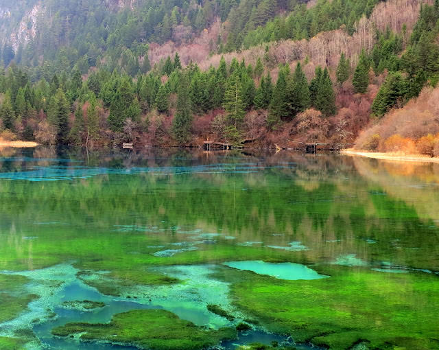 九寨歸來不看水  九寨溝 Jiuzhaigou