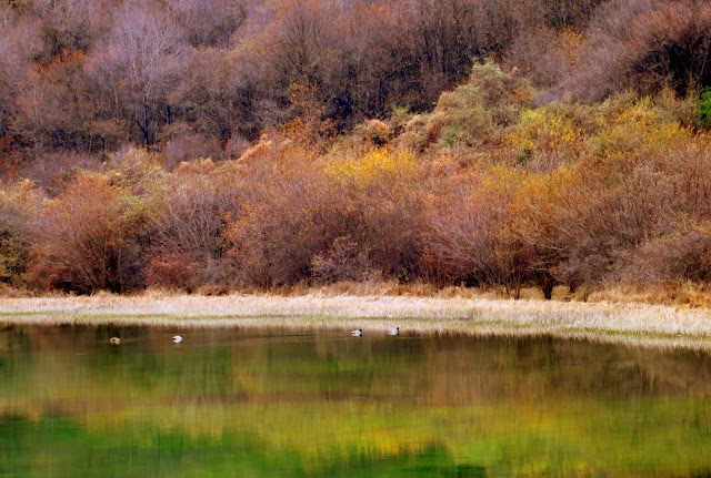 九寨歸來不看水  九寨溝 Jiuzhaigou