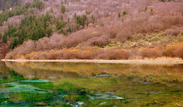 九寨歸來不看水  九寨溝 Jiuzhaigou