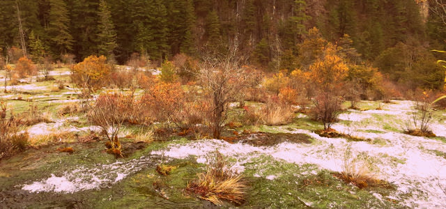 九寨歸來不看水  九寨溝 Jiuzhaigou