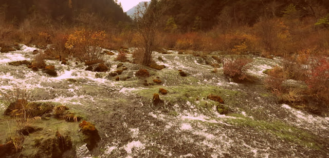 九寨歸來不看水  九寨溝 Jiuzhaigou