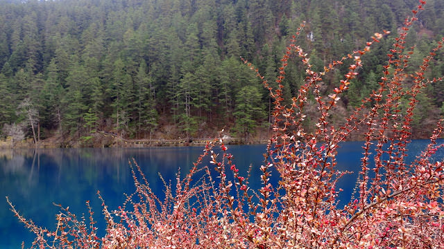 九寨歸來不看水  九寨溝 Jiuzhaigou