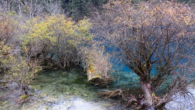 九寨歸來不看水  九寨溝 Jiuzhaigou