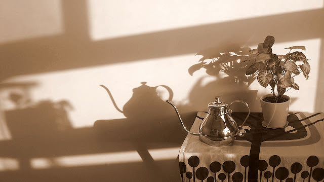 Collection of Shadows 。 影子