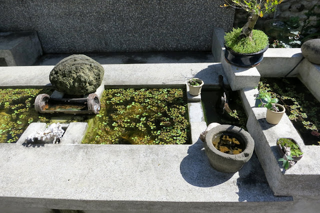 環島旅行 4: 石梯坪單面山、長濱100號、鐵花村、台東文旅