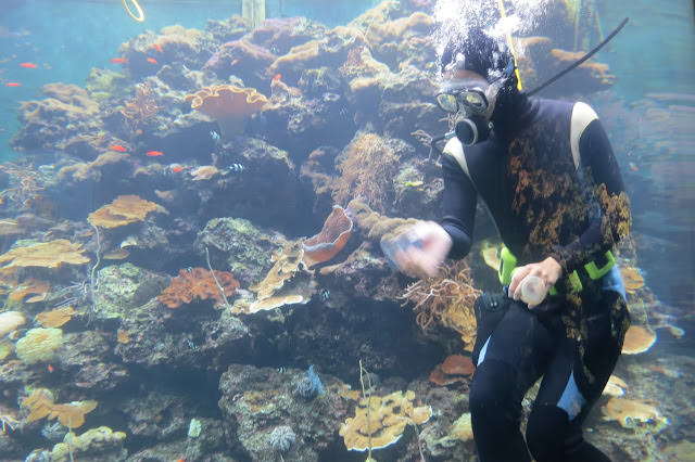 環島旅行 6: 屏東 國立海洋生物博物館、台南 木十八