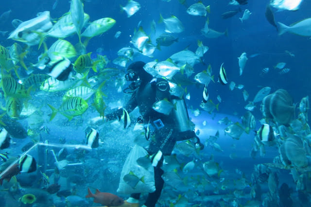 環島旅行 6: 屏東 國立海洋生物博物館、台南 木十八