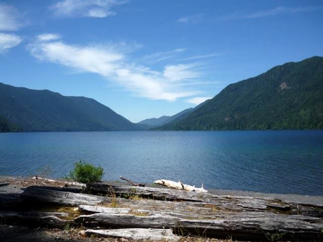 Olympic National Park 多元的美景 奧林匹克國家公園