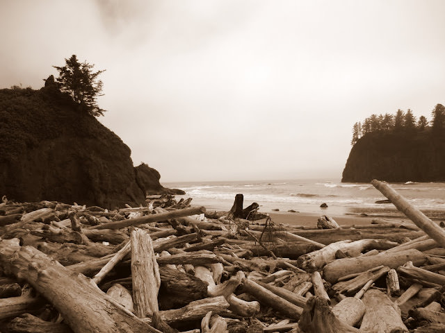 Olympic National Park 多元的美景 奧林匹克國家公園