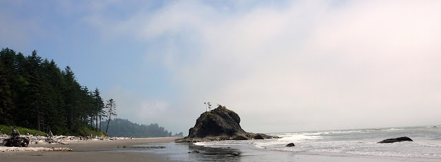 Olympic National Park 多元的美景 奧林匹克國家公園