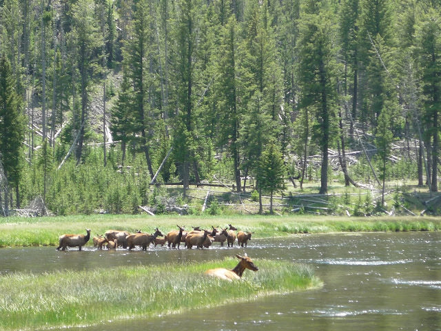 Yellowstone National Park 黃石國家公園 所有你能想像的夢幻顏色