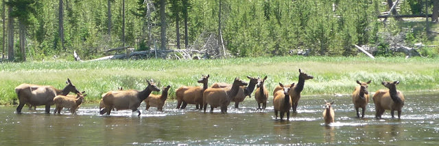 Yellowstone National Park 黃石國家公園 所有你能想像的夢幻顏色