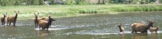 Yellowstone National Park 黃石國家公園 所有你能想像的夢幻顏色