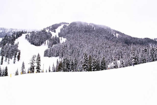 Seattle 西雅圖近郊的滑雪場。Mt. Baker、Sumit at Snoqualmie 、Stevens Pass、Crystal Mountain、加拿大惠斯勒滑雪場