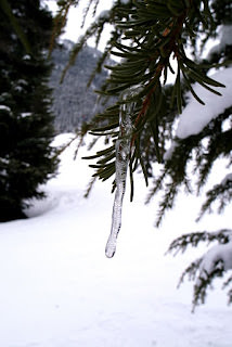 Seattle 西雅圖近郊的滑雪場。Mt. Baker、Sumit at Snoqualmie 、Stevens Pass、Crystal Mountain、加拿大惠斯勒滑雪場