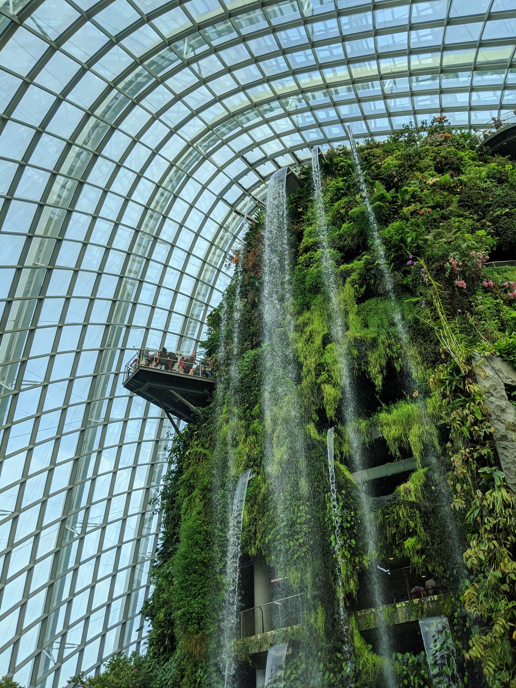 新加坡 濱海灣花園雙溫室和超級樹 夢幻人造美景 Gardens by the bay, Cloud Forest, Flower Dome, and Supertree