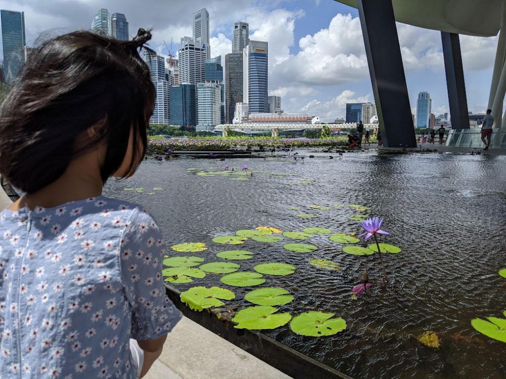 新加坡 藝術科學博物館 ArtScience Museum 特別的白色花瓣建築 - 第3張圖