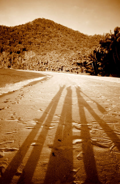 Collection of Shadows 。 影子