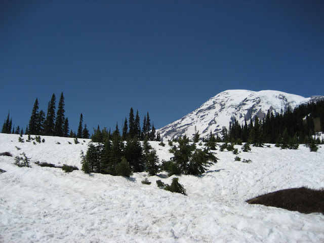西雅圖 愛玩捉迷藏的火山 雷尼爾山 Mt. Rainier