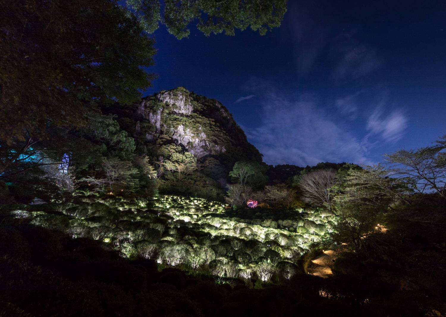 Teamlab 神居住的森林。Teamlab 神居住之森