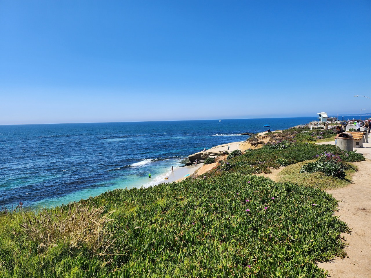 南加州 聖地牙哥 La Jolla 拉霍亞 風光明媚的海岸 Children's Pool 近距離觀察可愛的海豹