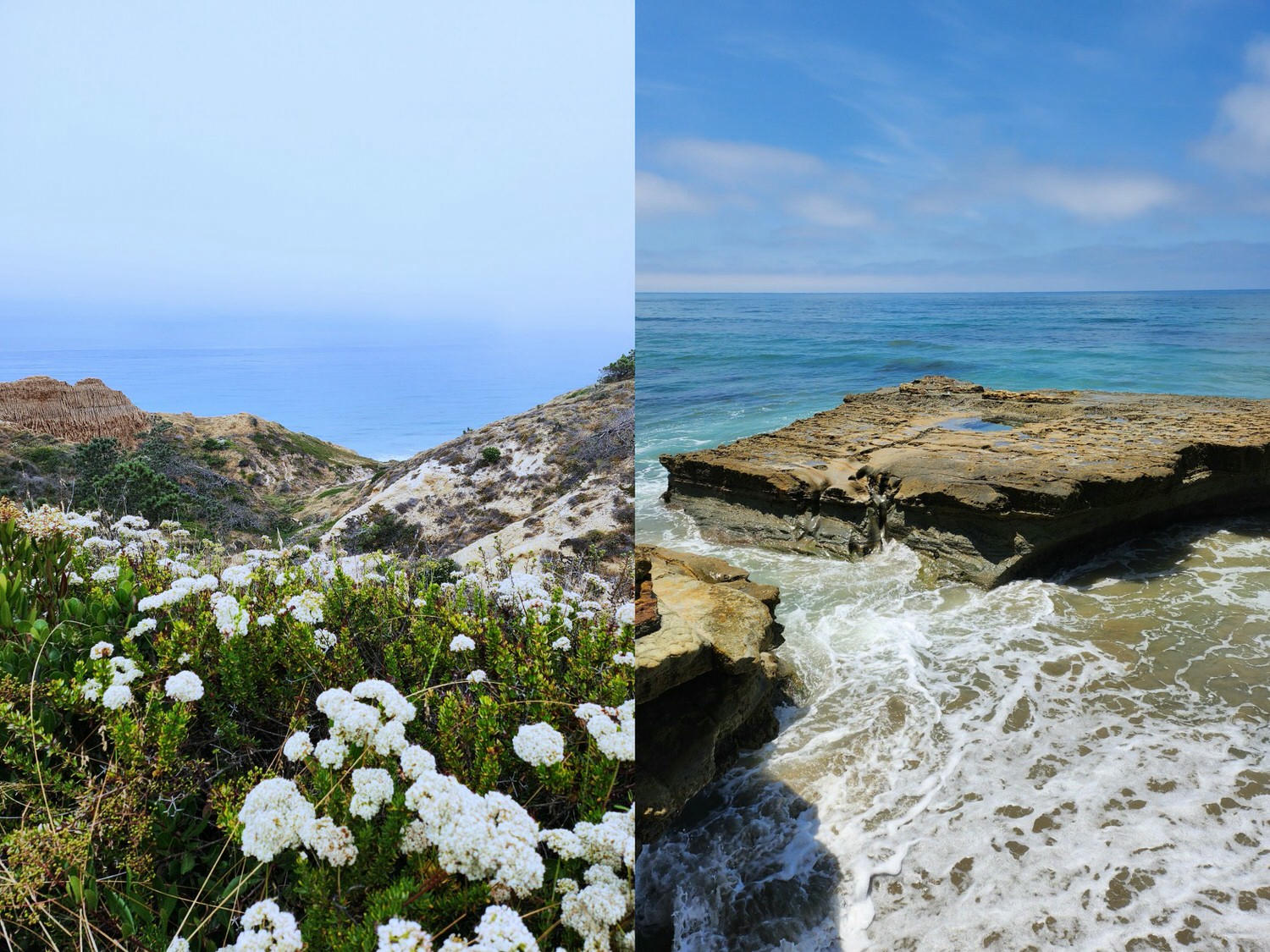 聖地牙哥景點 托瑞松國家保育區 Torrey Pines State Natural Reserve: Flat Rock Beach Trail 從山崖到海濱的健行路線
