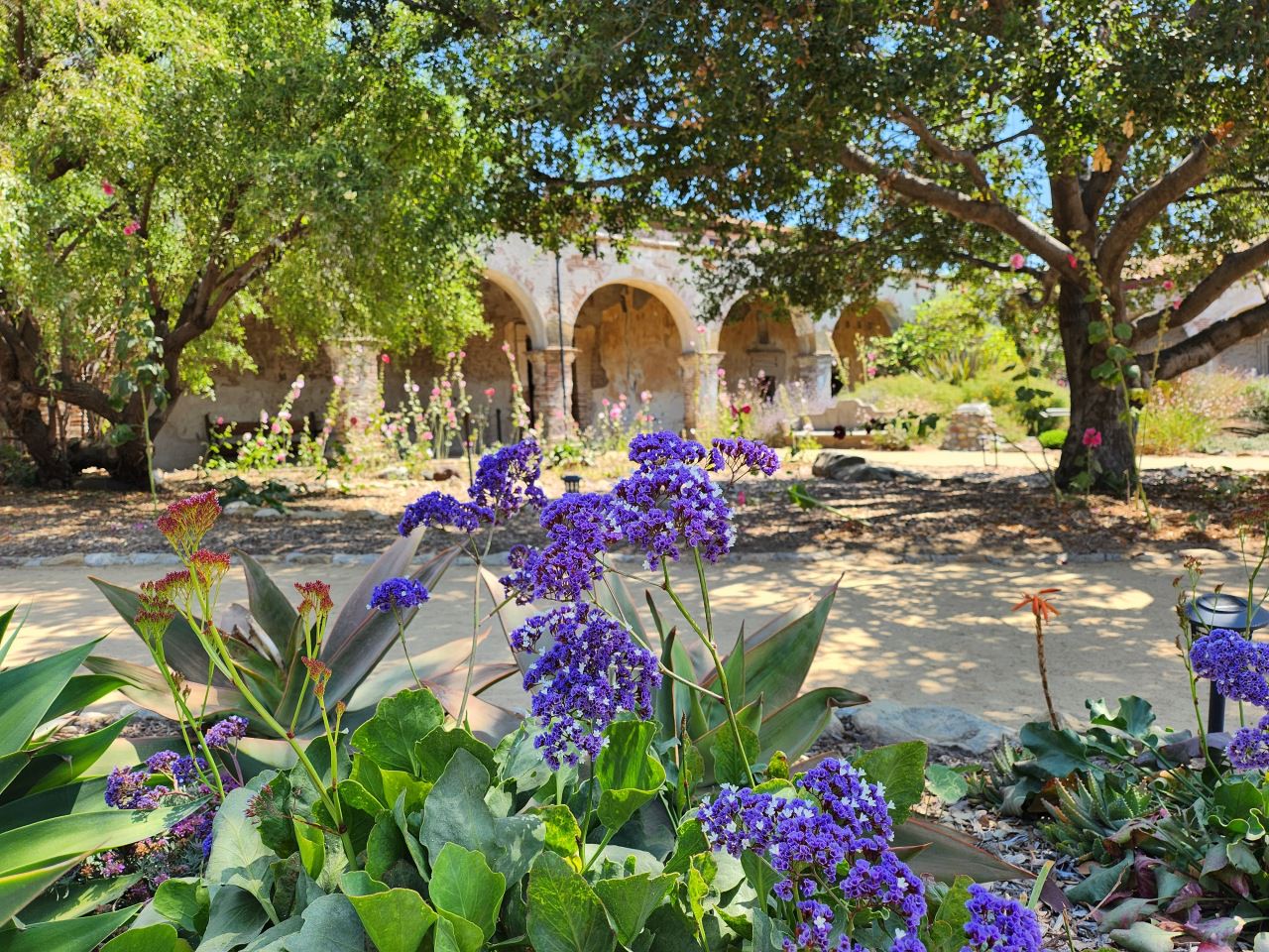 南加州 Mission San Juan Capistrano 聖胡安燕子教堂 古老莊嚴的遺跡和繁花似錦的花園