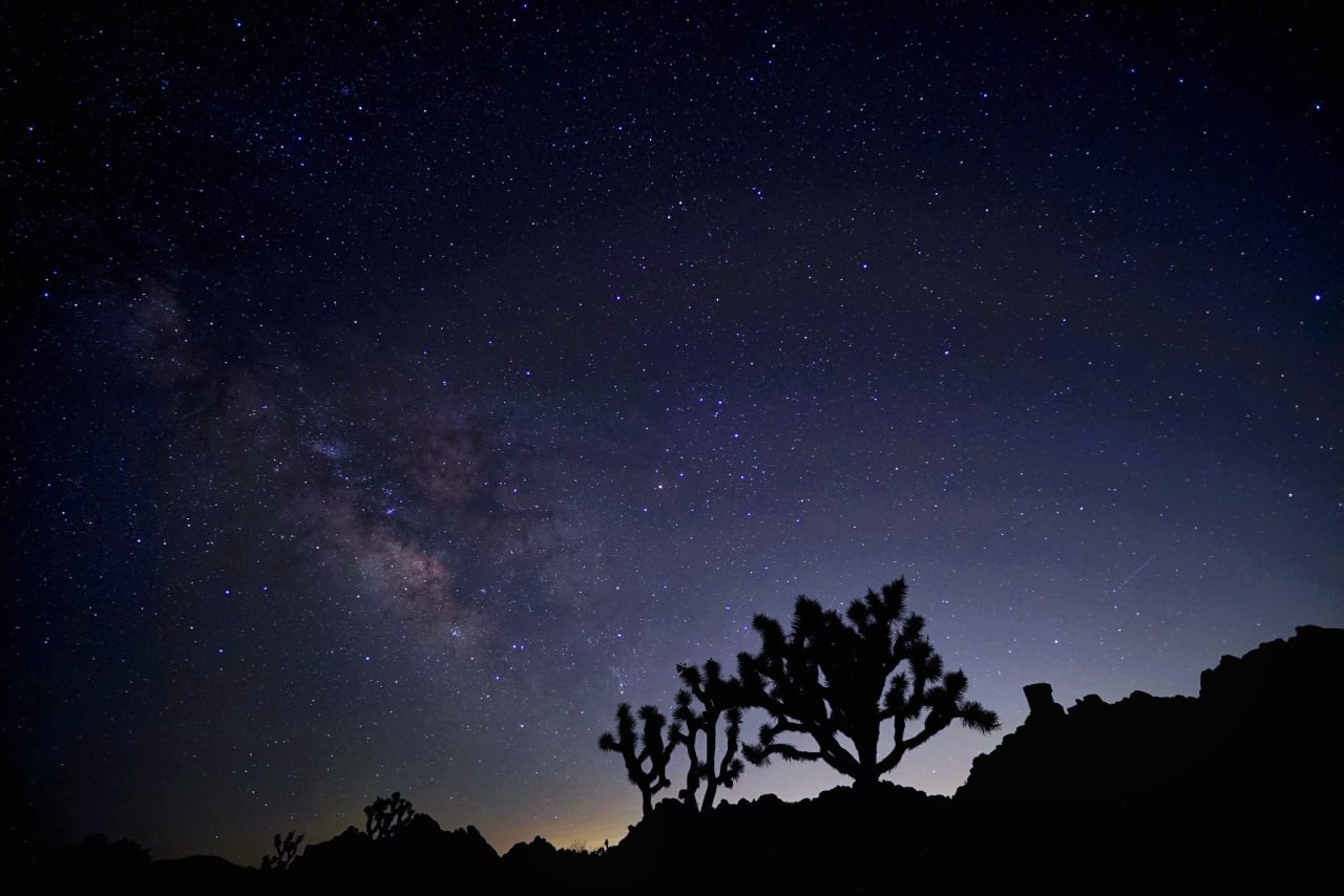 約書亞樹國家公園 夜間觀星 Joshua Tree National Park Stargazing