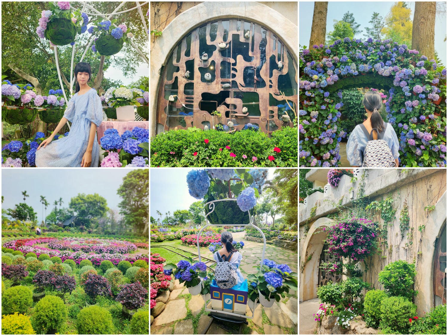 苗栗卓蘭 花露農場。 以花卉精心打造的美照製造地，乘坐繡球花小火車，拜訪精油城堡。