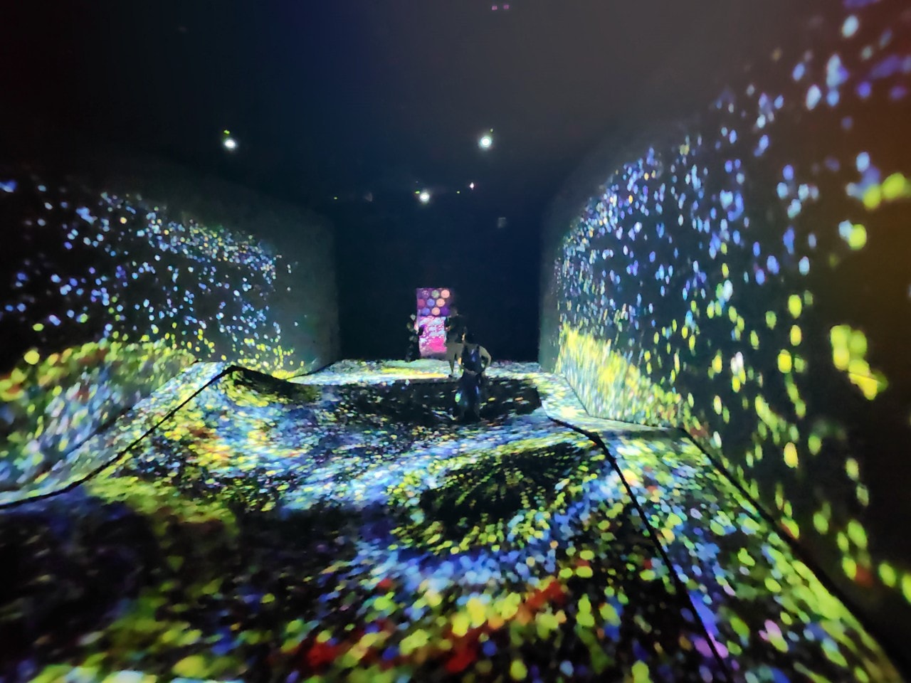 九州福岡 Teamlab Forest Fukuoka。唯美「捕捉和收集森林」和「運動森林」，在獨特地形之中享受互動式沉浸體驗。