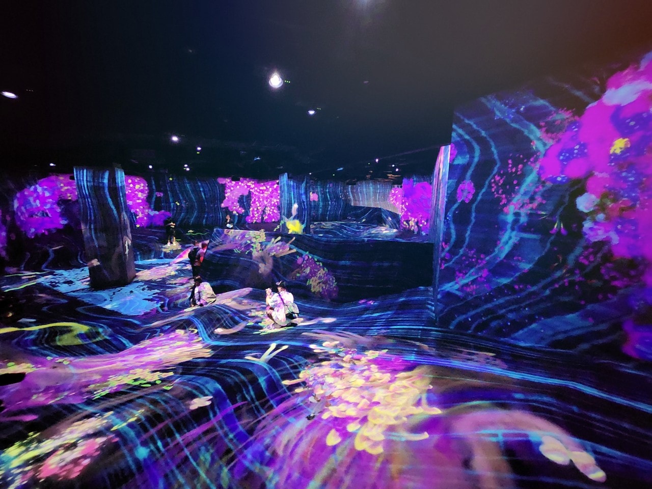 九州福岡 Teamlab Forest Fukuoka。唯美「捕捉和收集森林」和「運動森林」，在獨特地形之中享受互動式沉浸體驗。