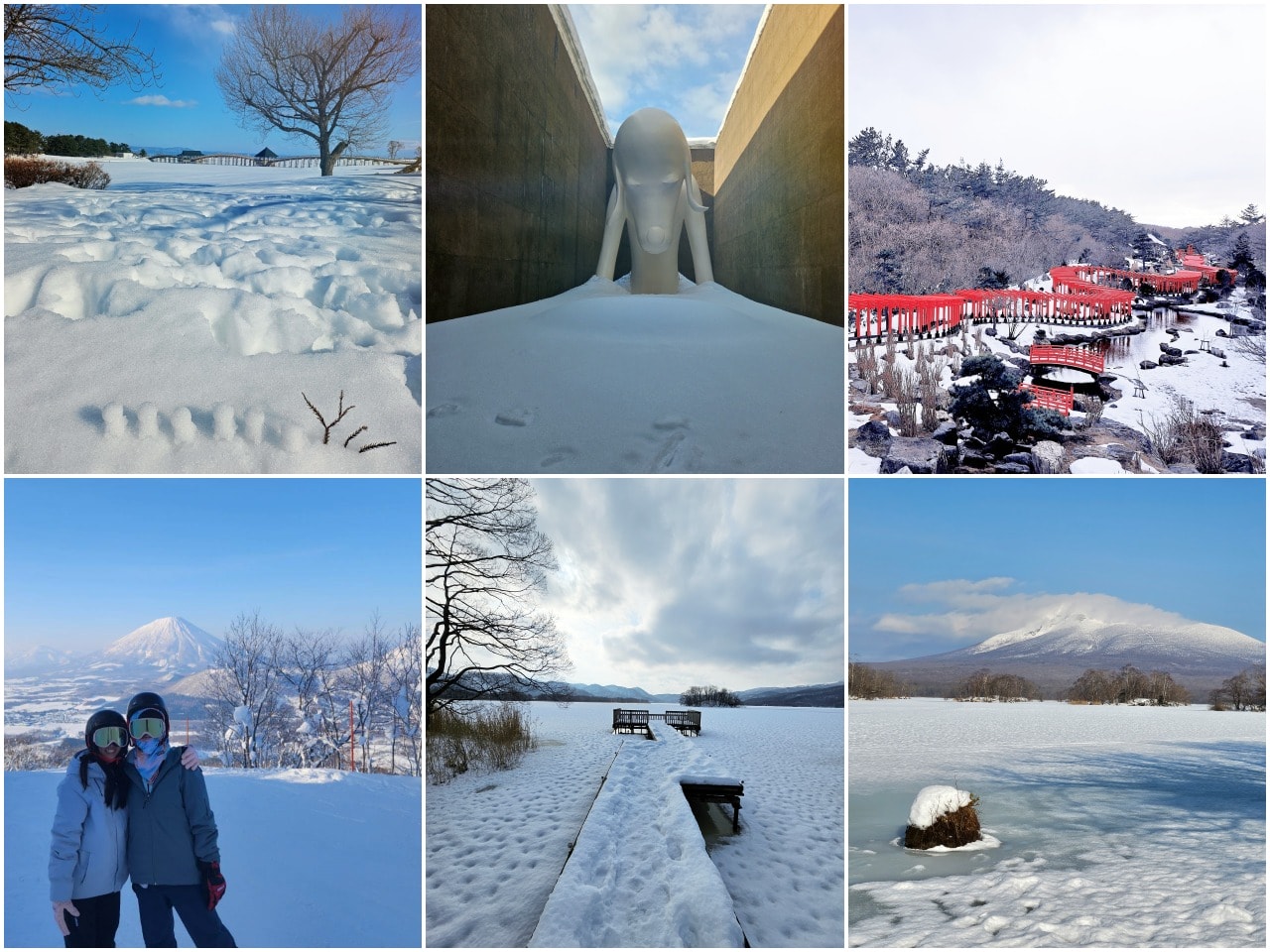 青森北海道