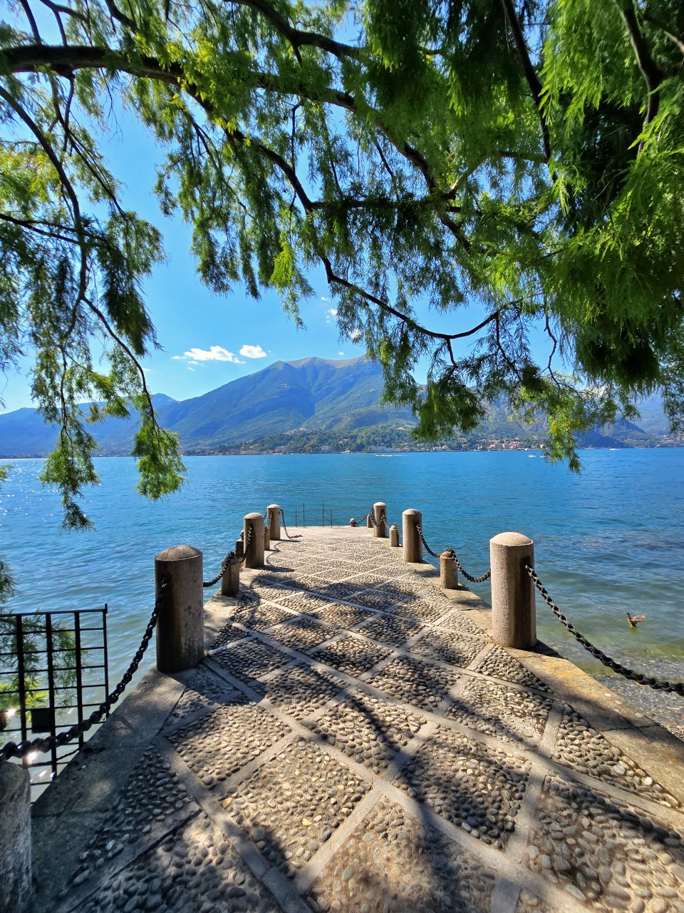 貝拉焦小鎮 Bellagio 梅爾齊別墅花園 Giardini di Villa Melzi。科莫湖畔最美貴族花園,驚豔優雅植物園與摩爾風格小亭 - 第10張圖