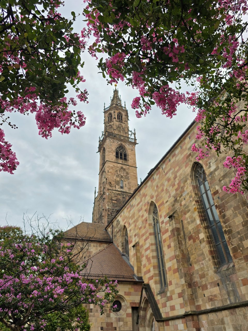 義大利 Bolzano 波扎諾。多洛米蒂門戶城市的散步景點與交通整理