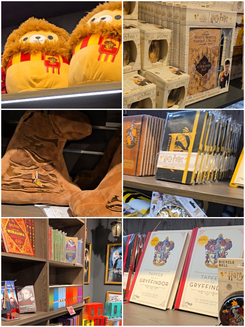 慕尼黑 哈利波特專賣店。Thalia Harry Potter Store 結合書店與魔法世界主題，像是走進霍格華茲的場景，還有免費互動拍照裝置